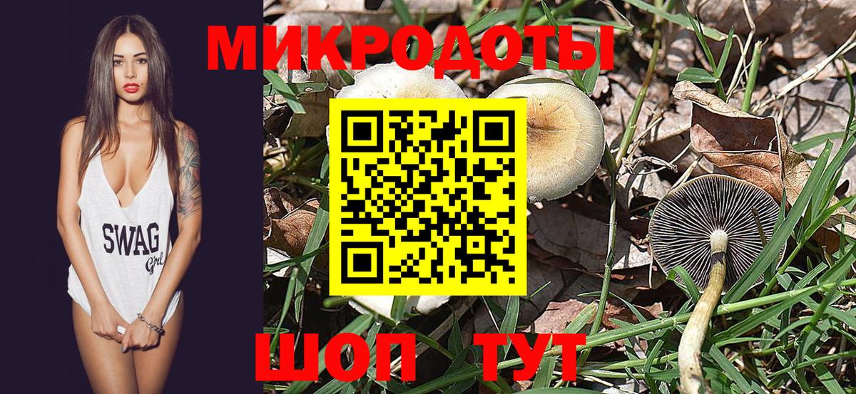 Галлюциногенные грибы мухоморы Медногорск