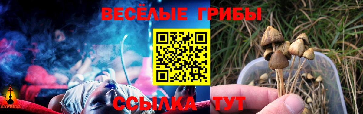 Псилоцибиновые грибы Magic Shrooms  Вход с VPN  Медногорск 